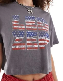 Noisy May Cropped Led Zepplin Top In Grey For Women Charcoal Gray -Noisy May Shop 206531991 4